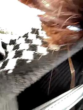 xiaoliansweet — Freechat on StripChat